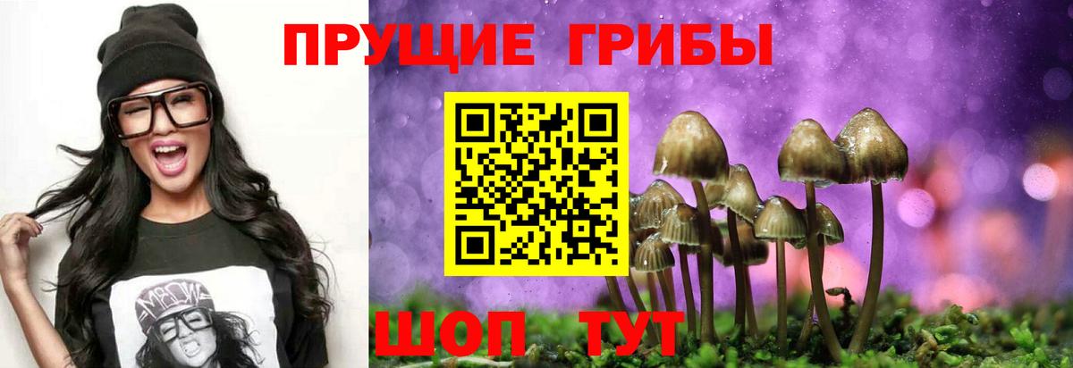Галлюциногенные грибы прущие грибы  Вход с VPN  Псилоцибиновые грибы MAGIC MUSHROOMS  что такое наркотик  Нижневартовск 